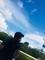 -arawap_net