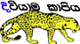 .diviyama.
