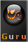 .guru.