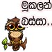 .mbassa.