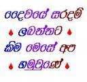 .saradam.